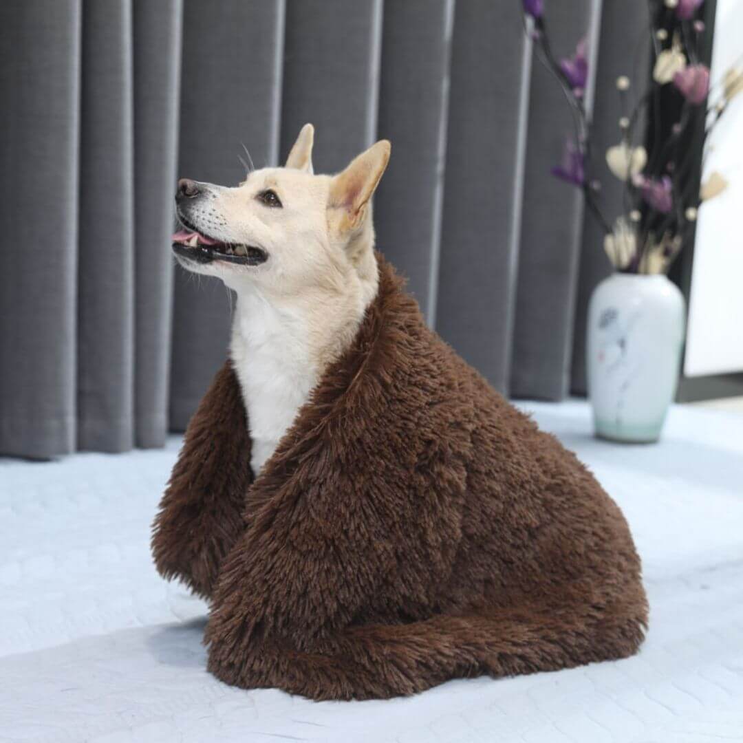 Lit Apaisant Marron Pour Chien MrFluffyFriend