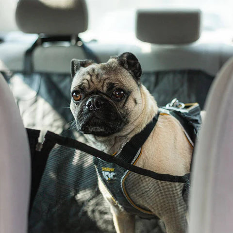 MrFluffyFriend - Housse De Siège Auto Pour Chiens