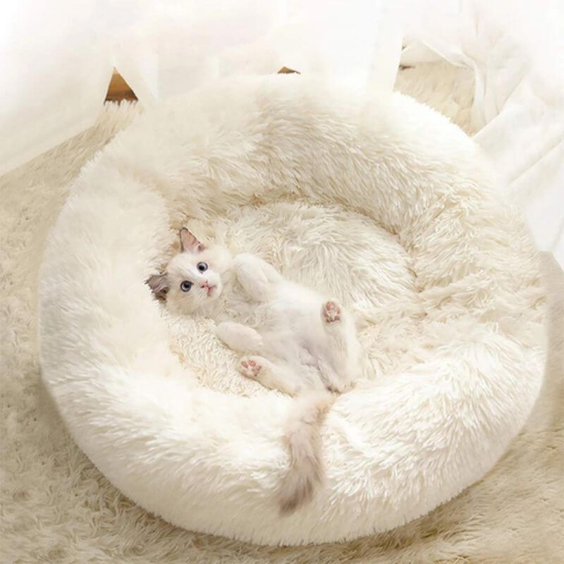 MrFluffyFriend - Le Meilleur Lit Pour Chat Anti-Anxiété