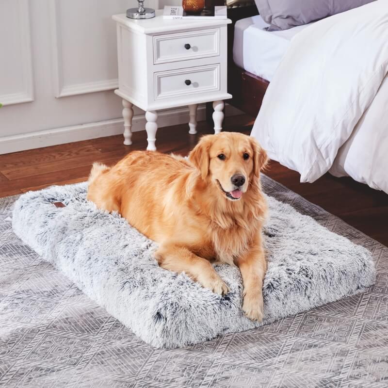 MrFluffyFriend - Le Meilleur Oreiller Orthopédique Pour Chien