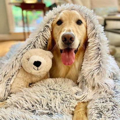 MrFluffyFriend - Meilleure Couverture Pour Chien