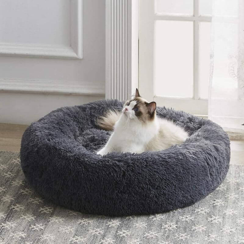 MrFluffyFriend - Les Meilleurs Lits Pour Chats Pour Soulager L'anxiété