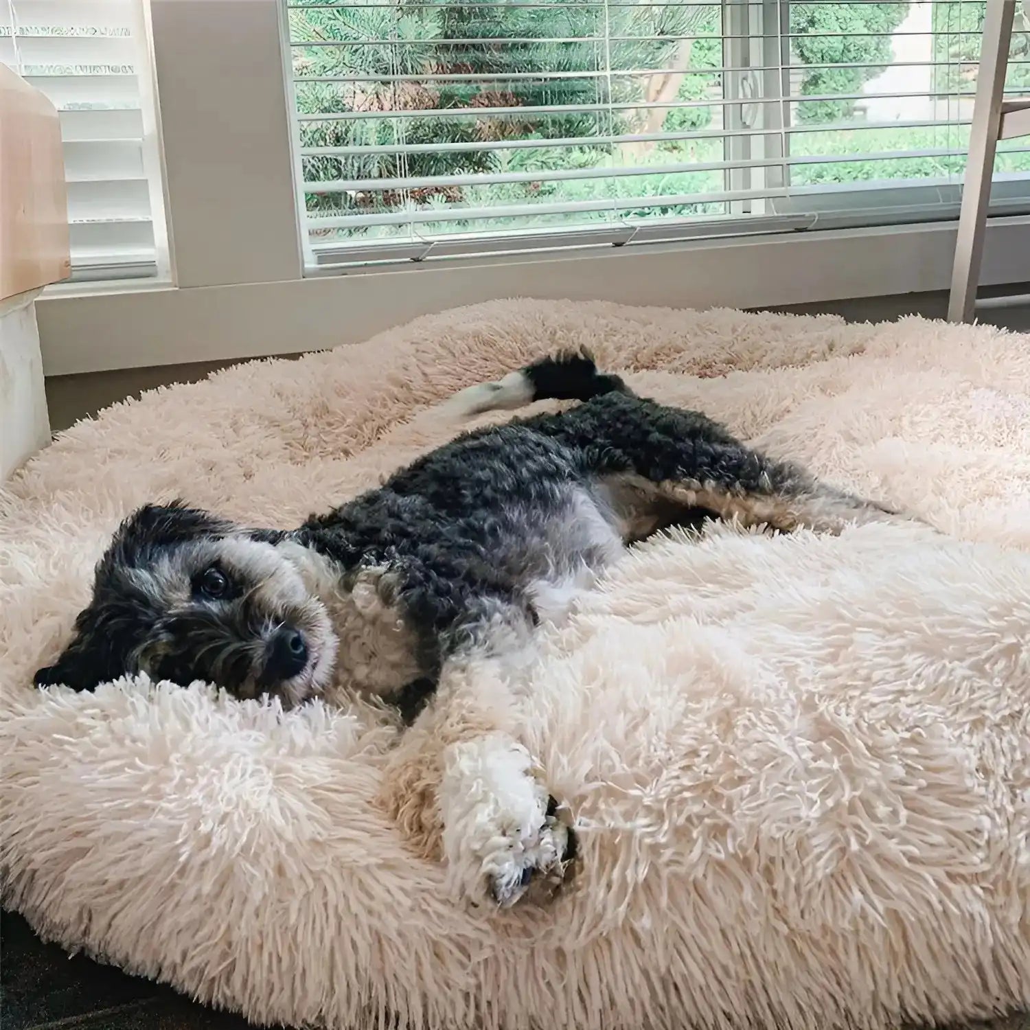 MrFluffyFriend - Lit Pour Chien Haut De Gamme