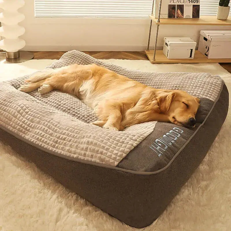 MrFluffyFriend - Le Meilleur Coussin Pour Chiens