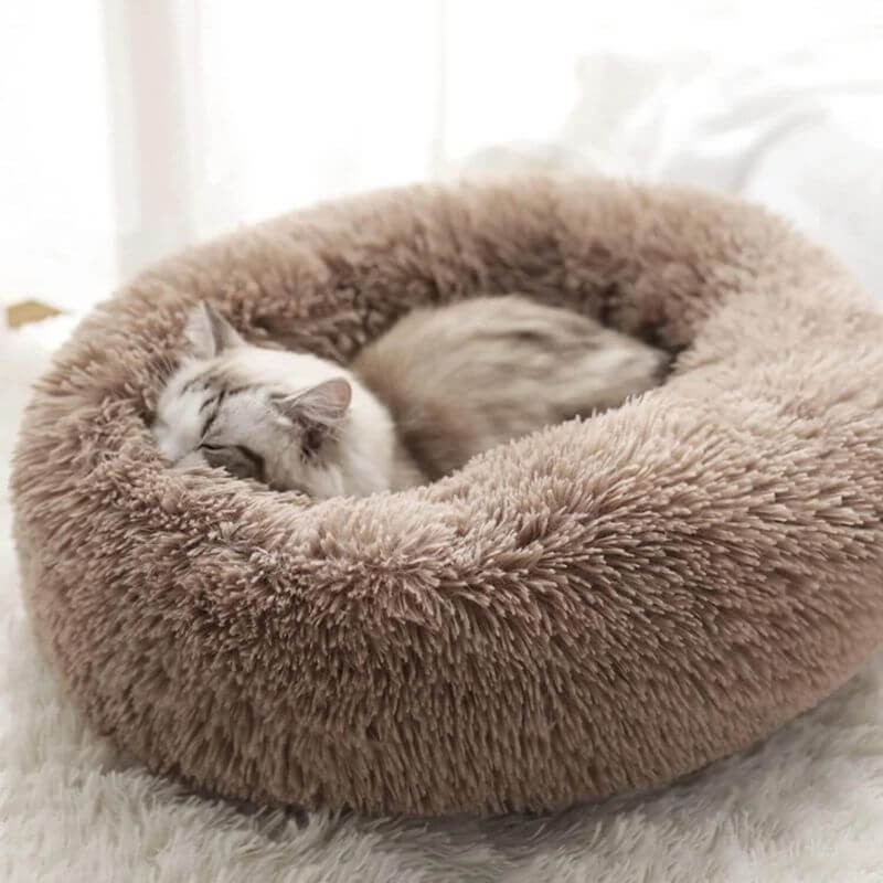 MrFluffyFriend - Le Meilleur Lit Thérapeutique Pour Chat