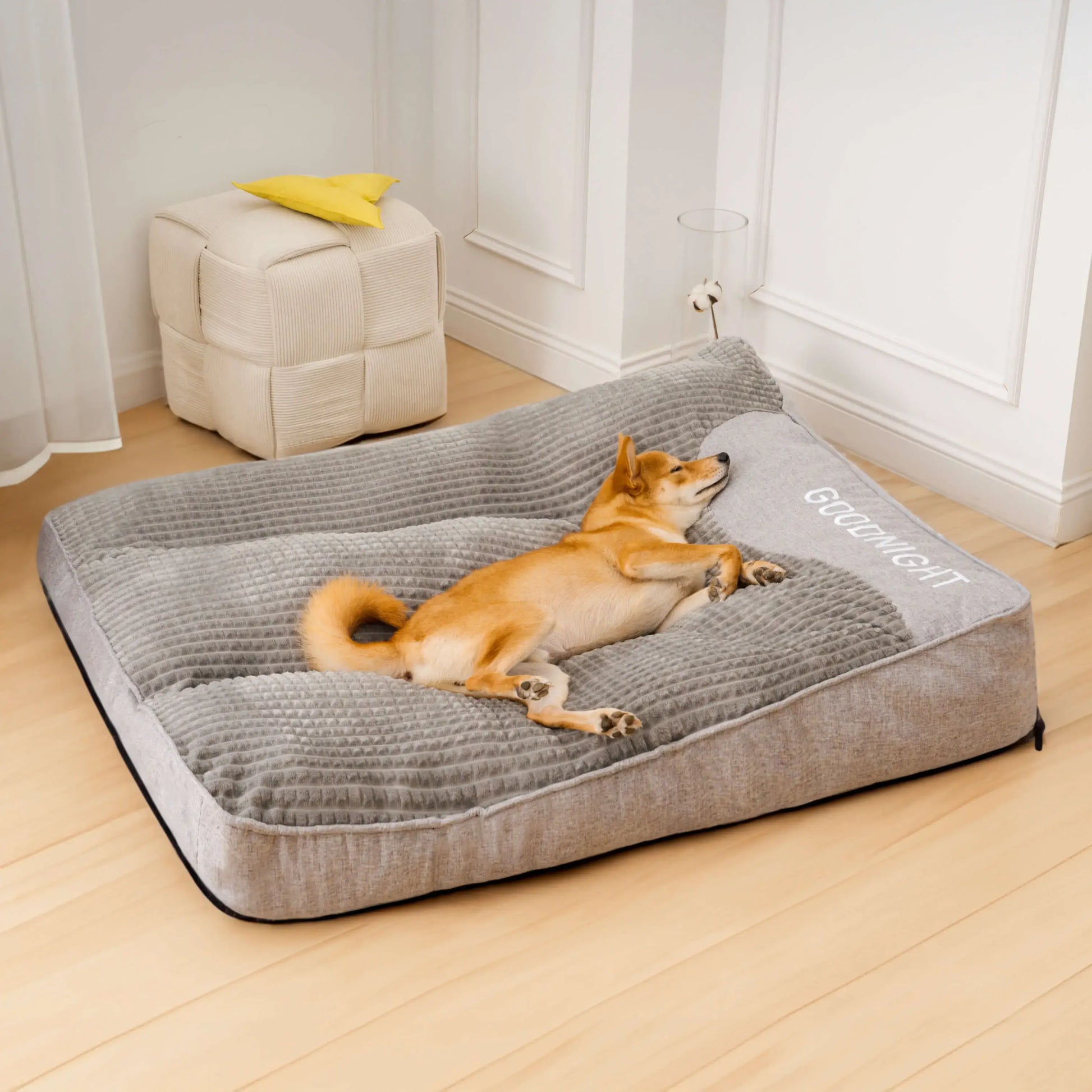 Le Meilleur Coussin Anti-Anxiété Pour Chiens De Taille Moyenne